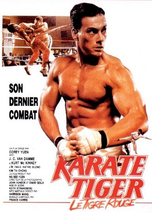 Retour � la fiche du film Karate Tiger
