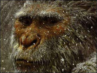 Abominable / Abominable de Renny Harlin