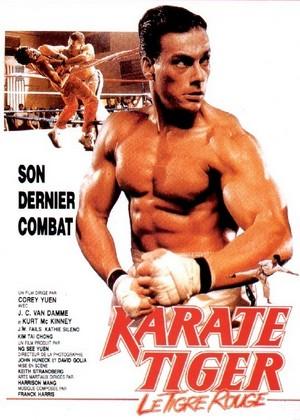 Retour � la fiche du film Karate Tiger