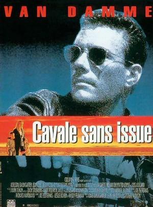 Retour � la fiche du film Cavale sans issue