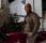 THE EXPENDABLES 2 : Jason Statham parle de Van Damme
